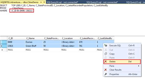 Overview Of The Sql Delete Statement