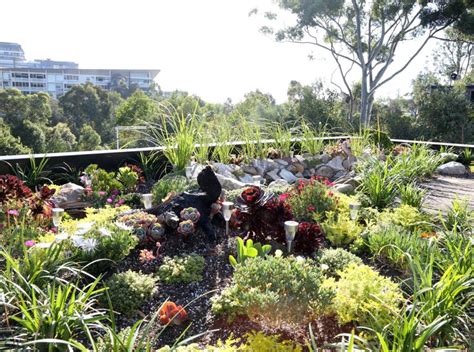 Best images with animals and pictures of woods and forests with trees, ponds, waterfalls and glades. Forest Lodge ECO House Green Roofs - Greenroofs.com
