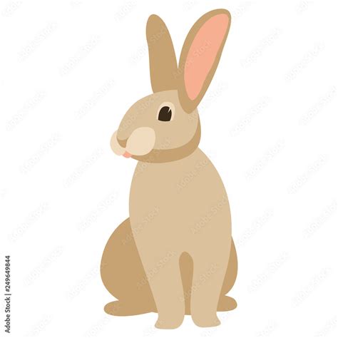 Cartoon Rabbit Vector Illustration Front Vector De Stock Adobe Stock