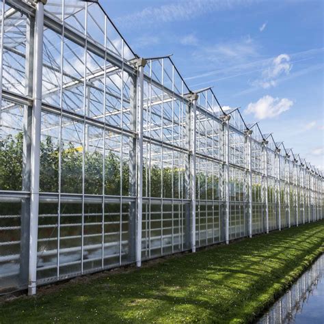 Great Performance Venlo Glass Greenhouse Solution Buy Products On