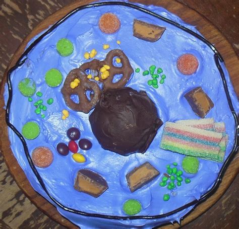 Animal Cell Model Cake Eclectic Homeschooling