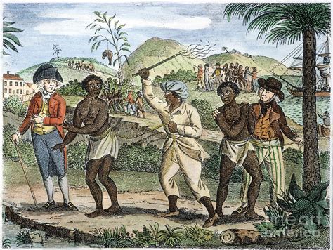 Slavery West Indies Photograph By Granger