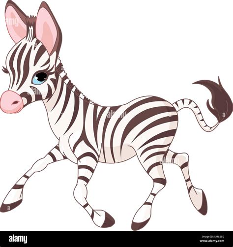 Cute Running Baby Zebra Stock Vector Image And Art Alamy