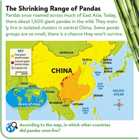 Giant Panda Habitat Map Bruin Blog
