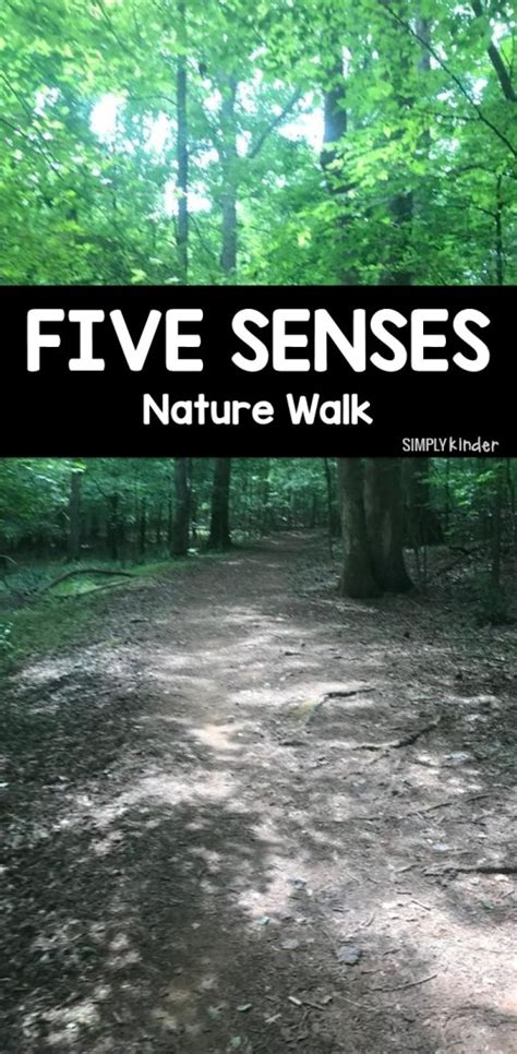 Five Senses Nature Walk Simply Kinder