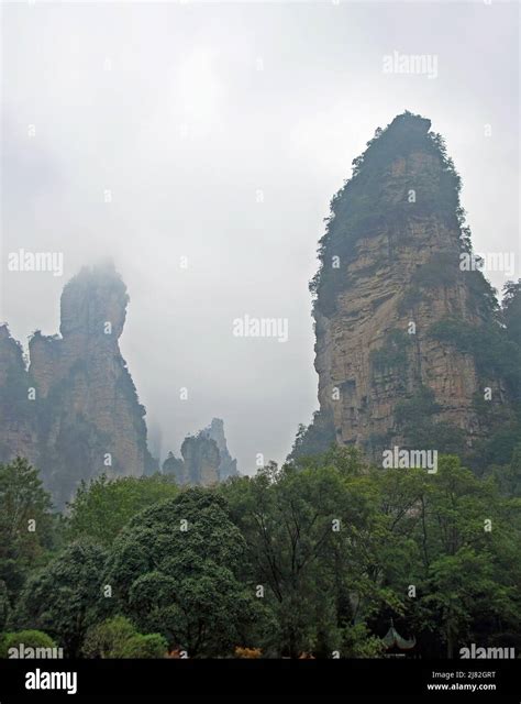 Zhangjiajie National Forest Park Hunan Province China Misty