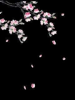 See more ideas about flowers, beautiful flowers, flowers gif. Falling flowers animated gif 13 » GIF Images Download