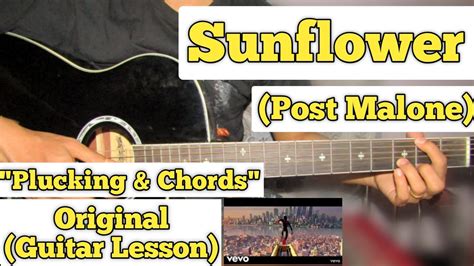 Sunflower Post Malone Guitar Lesson Plucking And Chords Youtube