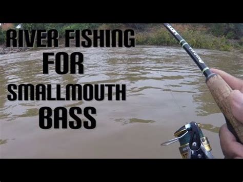 RIVER FISHING FOR SMALLMOUTH BASS - YouTube