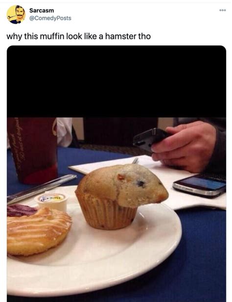 29 Of The Cutest Hamster Memes We Could Find So Far Lets Eat Cake