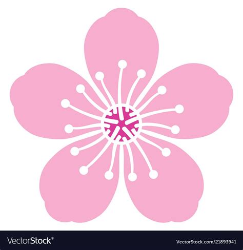 Cherry Blossom Flower Vector Illustration Download A Free Preview Or High Quality Adobe Illust