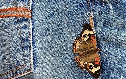 Jeans Wallpapers Desktop Butterflies Backgrounds 4k Hdq