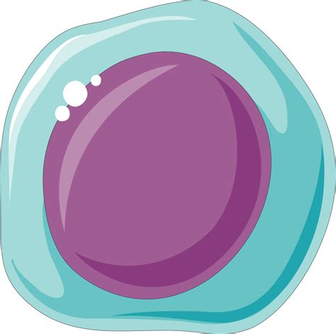Body Cell Vector Png Hd Image Png All Png All