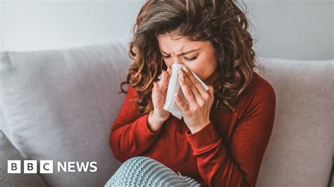 Coronavirus Guernsey Urges Self Isolation With Any Symptoms