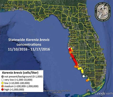 Red Tide In Florida Map Map