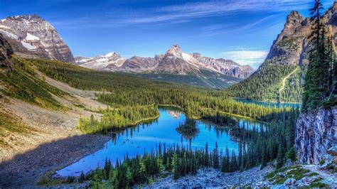 Can mean full parking lots, congested roads, busy trails, and long lines and wait times at entrance stations. Rocky Mountain National Park | Information & Facts | Tiverton Foundation