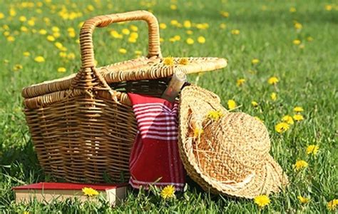 We did not find results for: La stagione dei picnic: cosa portare e come organizzare ...
