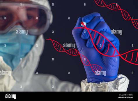 Genetic Engineering Hi Res Stock Photography And Images Alamy
