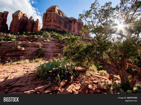 Sedona Red Rock City Image And Photo Free Trial Bigstock