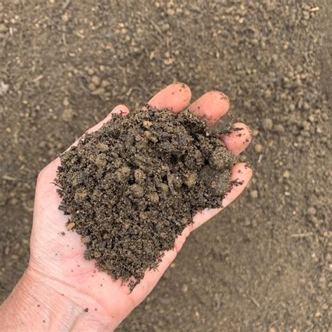 Check spelling or type a new query. Garden Soil - 1 cu yard (Bulk Delivery) - Gardens of Babylon