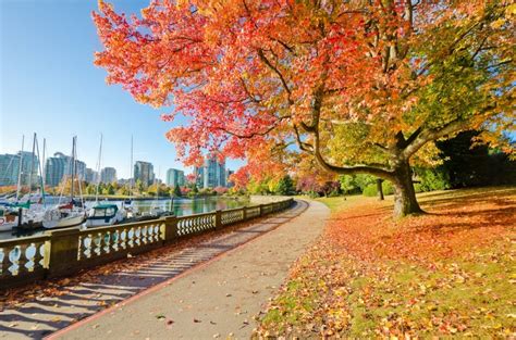 11 Ways To Experience Vancouvers Nature Celebrity Cruises