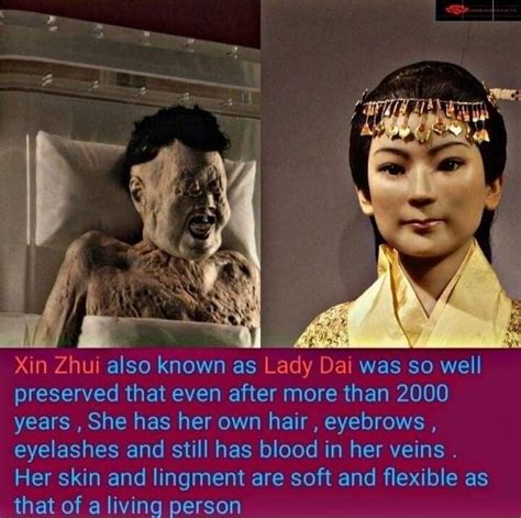 Xin Zhui Also Known As Lady Dai Was So Well Preserved That Even After