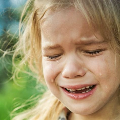 Help Your Intense Child Regulate Emotions Easily Raising Lifelong