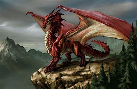 48 Free Dragon Art Wallpaper