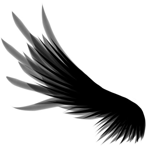 Wings Png Transparent Image Download Size 1000x1000px