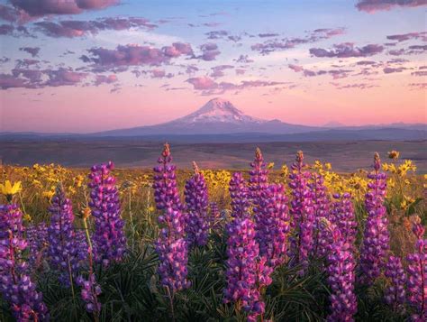 The 9 Best Landscape Photographers In Portland Peerspace