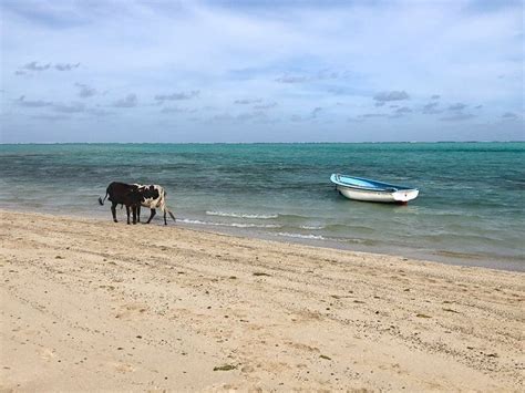 Best Things To Do In Rodrigues Island Mauritius The Travelbunny