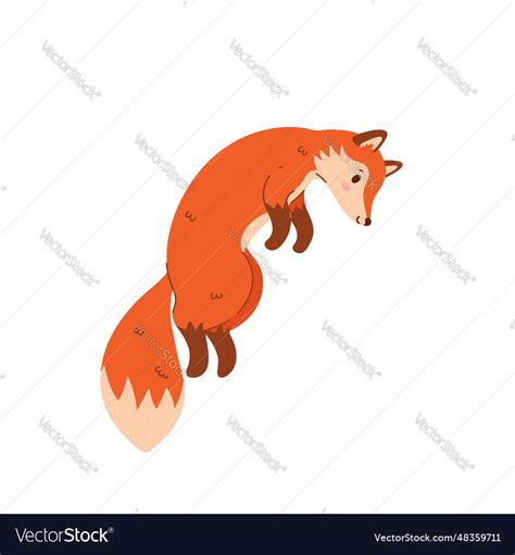 Cute Cartoon Fox Jumping Isolate On White Vector Image