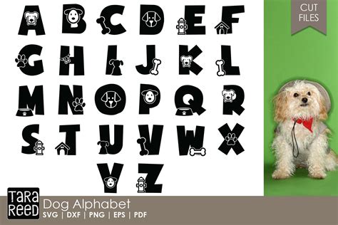 Dog Alphabet 113003 Cut Files Design Bundles