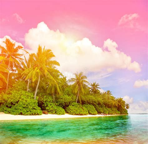Tropical Island Beach With Colorful Sunset Sky Stock Image Image 70020073
