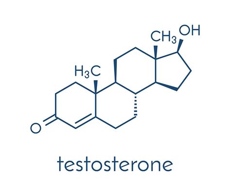 testosterone therapy effects results cost testosterone clinic pro