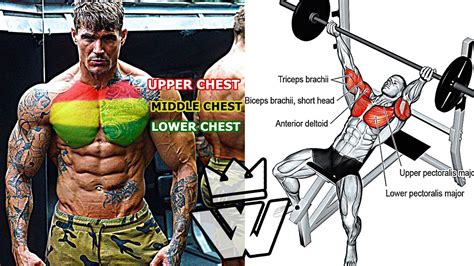 Massive Pump Full Chest Workout Youtube