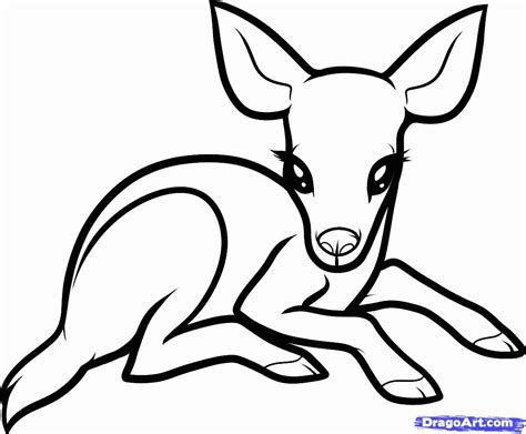 Cute Baby Animal Coloring Pages Dragoart Coloring Home