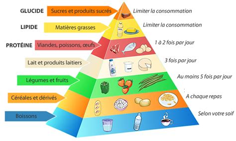 La Pyramide Alimentaire Pour Une Alimentation équilibrée