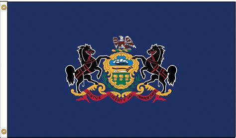 NYLGLO Pennsylvania State Flag, 4 ftH x 6 ftW, Indoor, Outdoor - 5JFP1 ...
