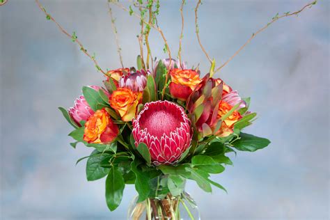 Proteas And Rose Magic Sf145 In Claremont Ca Sherwood Florist