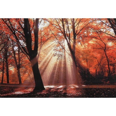 Sunlight Through Fall Trees Canvas Wall Art 36 X 24 At Home Tree