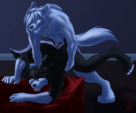 Rule 34 Anal Anal Sex Anthro Blue Eyes Border Collie Canine Clenched