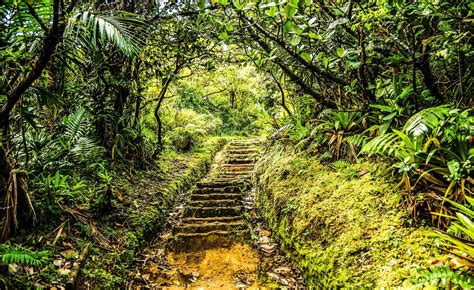 Maybe you would like to learn more about one of these? Dominica in der Karibik - Das zauberhafte Inselparadies ...