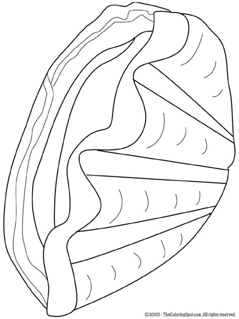 565 x 576 gif 9kb. Clam Coloring Page | Audio Stories for Kids | Free ...