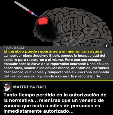 El cerebro puede repararse así mismo Filosofía Raeliana México
