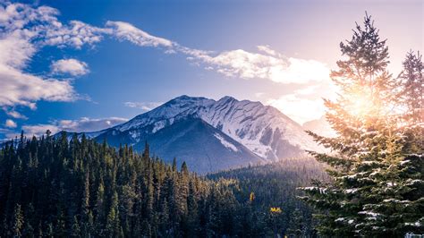Banff Nationalpark Kanada Berge Wald Bäume Sonnenuntergang