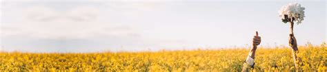 Book Honeymoon Tour Package India At Travel Triangle