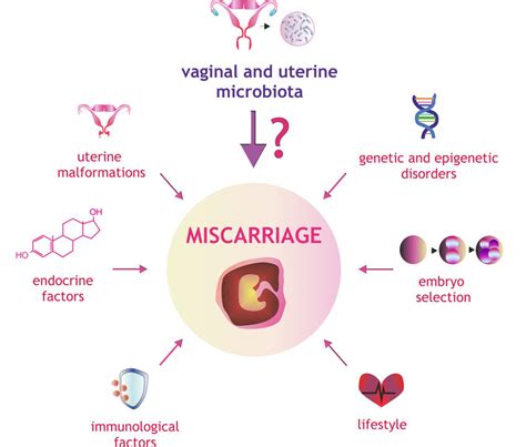 Factors Affecting The Risk Of Miscarriage Download Scientific Diagram