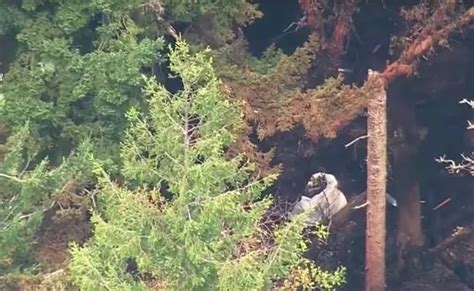Seattle Plane Crash Suicide Pilots Remains And Black Box Found