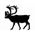 Caribou Silhouette Clipart Rudolph Clip Reindeer Moose